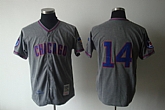 Chicago Cubs #14 Brank Grey m&n Jerseys,baseball caps,new era cap wholesale,wholesale hats