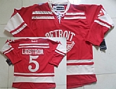 Detroit Red Wings #5 Nicklas Lidstrom 2014 Winter Classic Red Jerseys,baseball caps,new era cap wholesale,wholesale hats