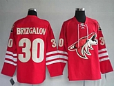 Phoenix Coyotes #30 Bryzgalov red Jerseys,baseball caps,new era cap wholesale,wholesale hats