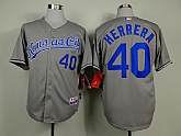 Kansas City Royals #40 Herrera 2014 Gray Jerseys,baseball caps,new era cap wholesale,wholesale hats