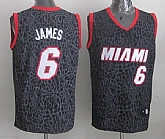 Miami Heat #6 LeBron James Black Leopard Print Fashion Jerseys