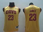 Youth Cleveland Cavaliers #23 LeBron James Revolution 30 Swingman Yellow Jerseys,baseball caps,new era cap wholesale,wholesale hats