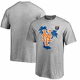 New York Mets Fanatics Branded 2018 MLB Spring Training Vintage T Shirt Heather Gray,baseball caps,new era cap wholesale,wholesale hats