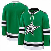 Men's Dallas Stars Blank Green 2024-25 Home Stitched Hockey Jersey Dzhi,baseball caps,new era cap wholesale,wholesale hats